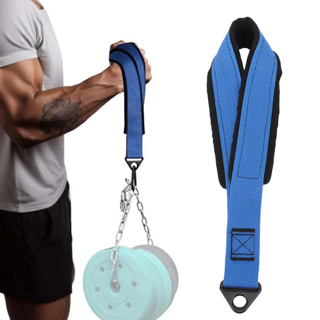 Push-Up & Upper Body Training